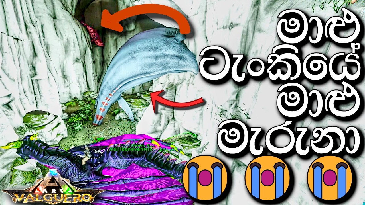 මාළු ටැංකියේ මාළු මැරුනා | ARK: Survival Evolved - VALGUERO - Sinhala Gameplay