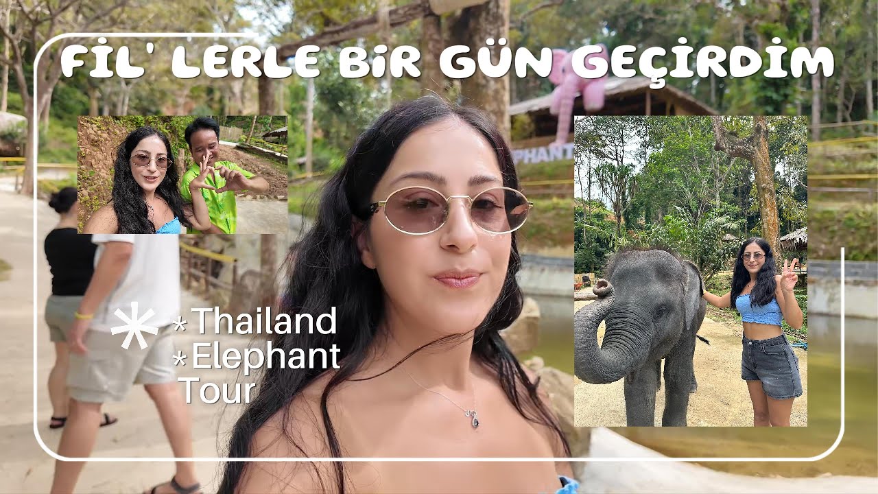 Tayland 'ın Popüler Aktivitesi  &  Fillere yemek yedirdik