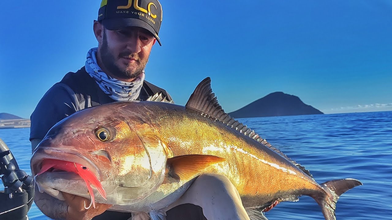 Medregal XL con Xipi JLC rojo brillo y achilles S603/ Amberjack XL jigging in canary island 🌋🎣🐟