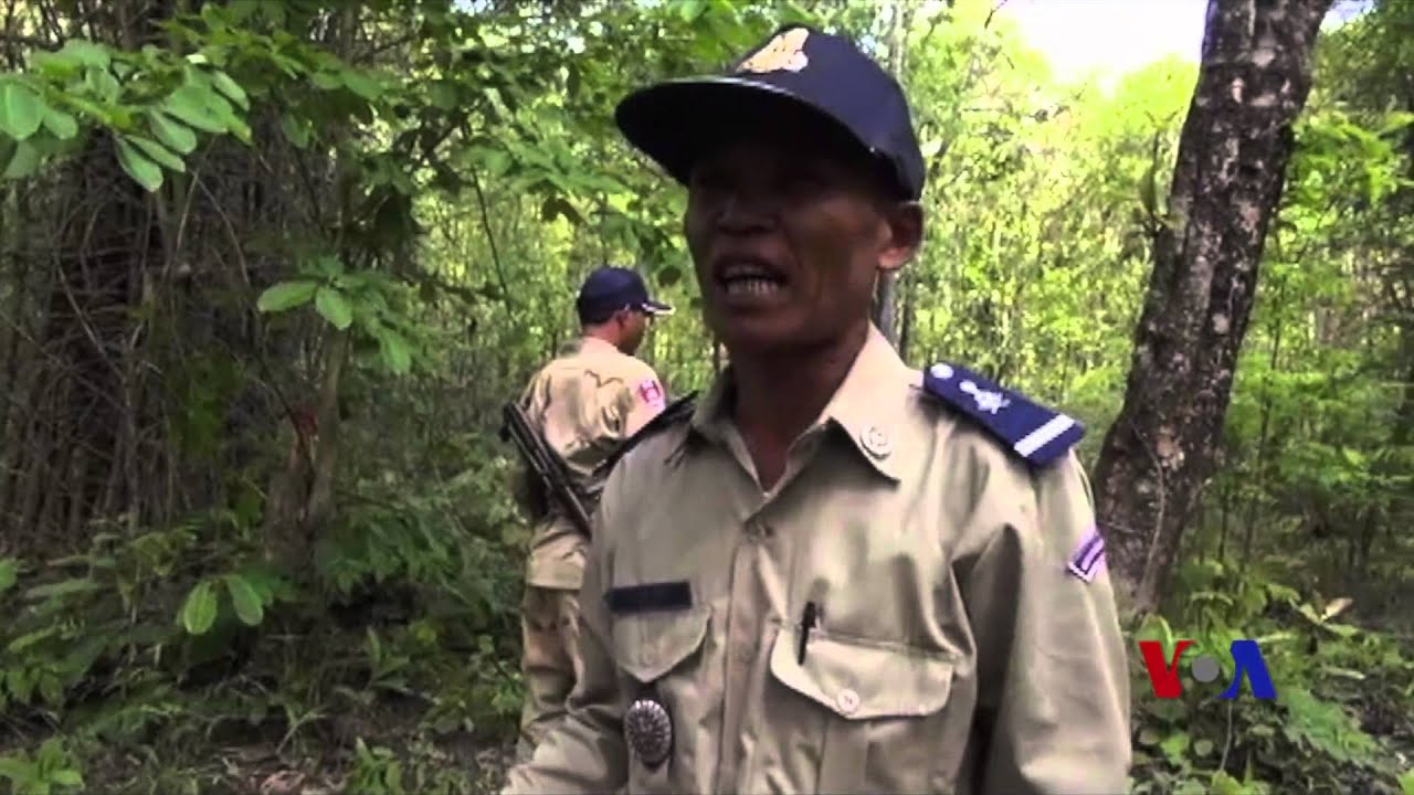 柬埔寨森林遭砍伐 老百姓生计无着落