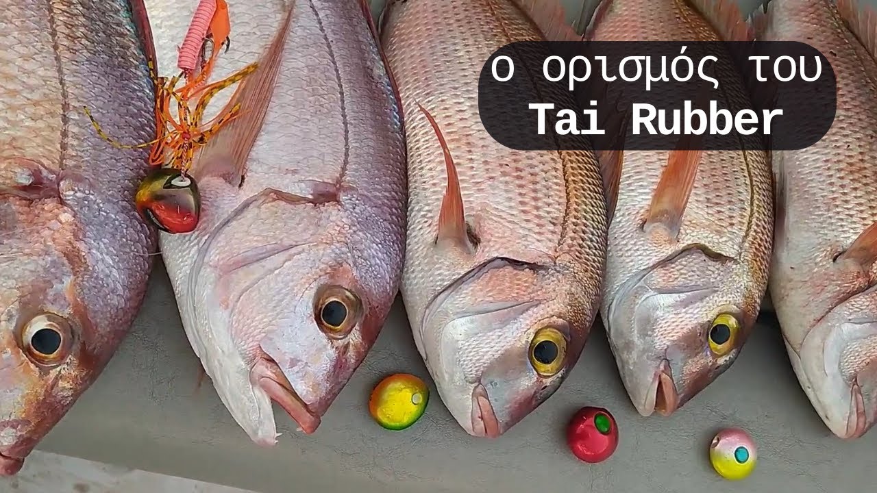 Ψάρεμα απόλαυση! 👌 ~Ο ορισμός του Tai Rubber~