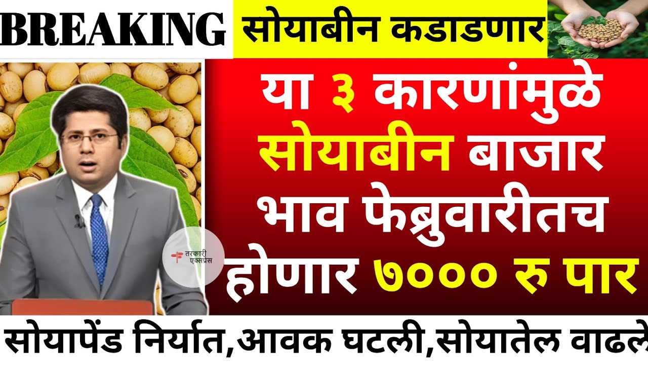 या ३ कारणांमुळे सोयाबीन दर ७००० रु पार| soyabean bajar bhav today|soyabean bhav today