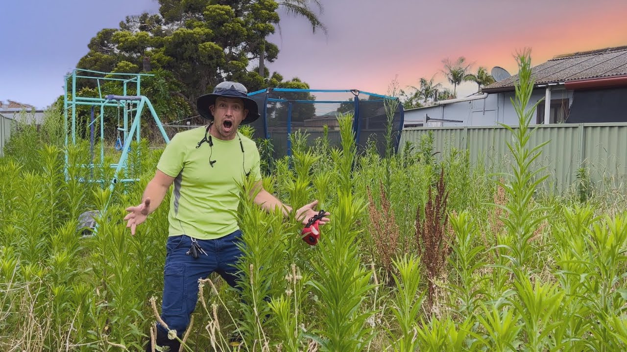 YOU Paid For This FREE Yard Makeover By Watching This. Thank you!