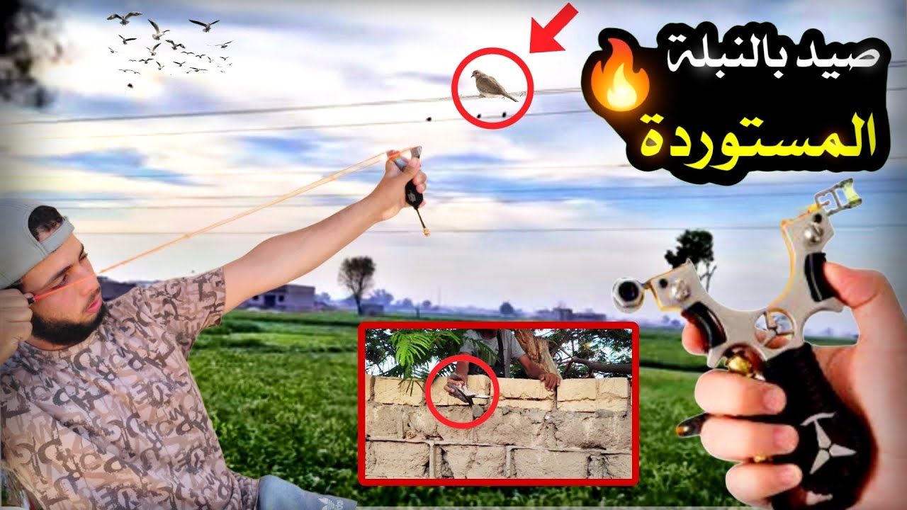 صيد بالنبلة المستوردة 