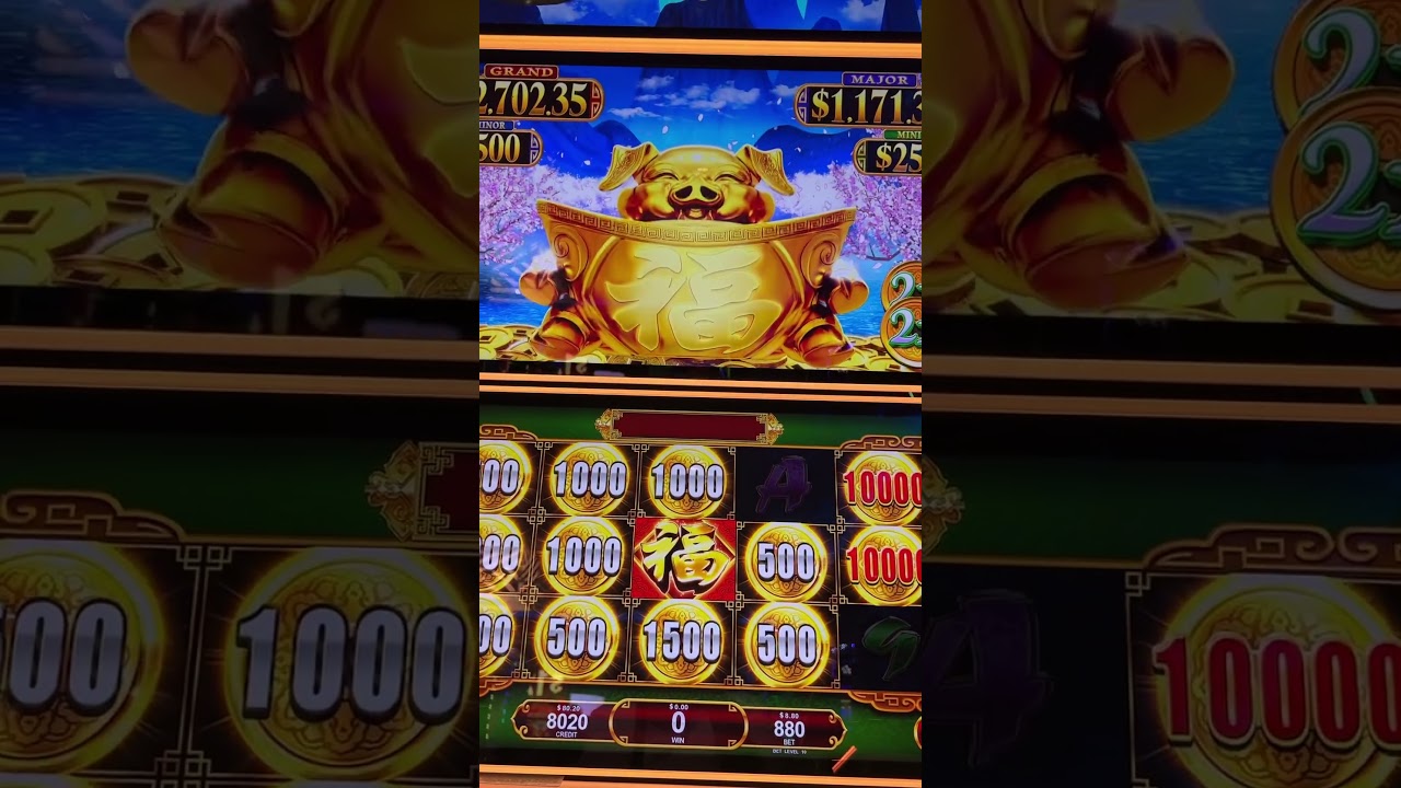 Stuffed Coins Pig - just shy of a hand pay jackpot! $8.80 bet!  #slots #casino #konami