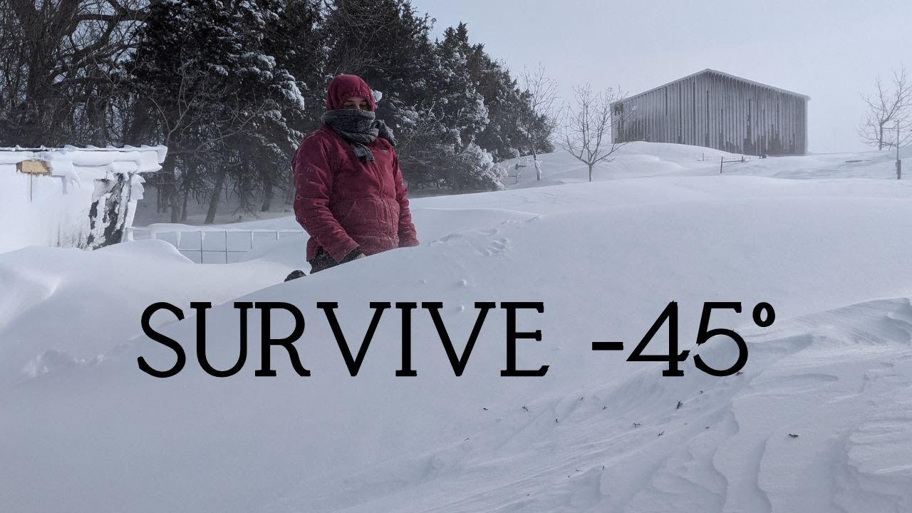Goating Through A Great Plains Blizzard In Bitter Cold - Nigerian Dwarf Dairy Goats