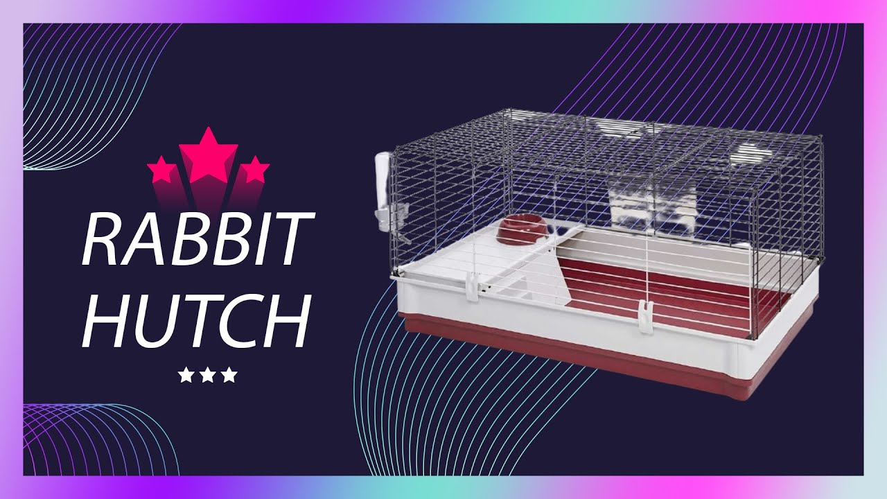 Best Rabbit Hutches Review 2023 | Make Your Selection