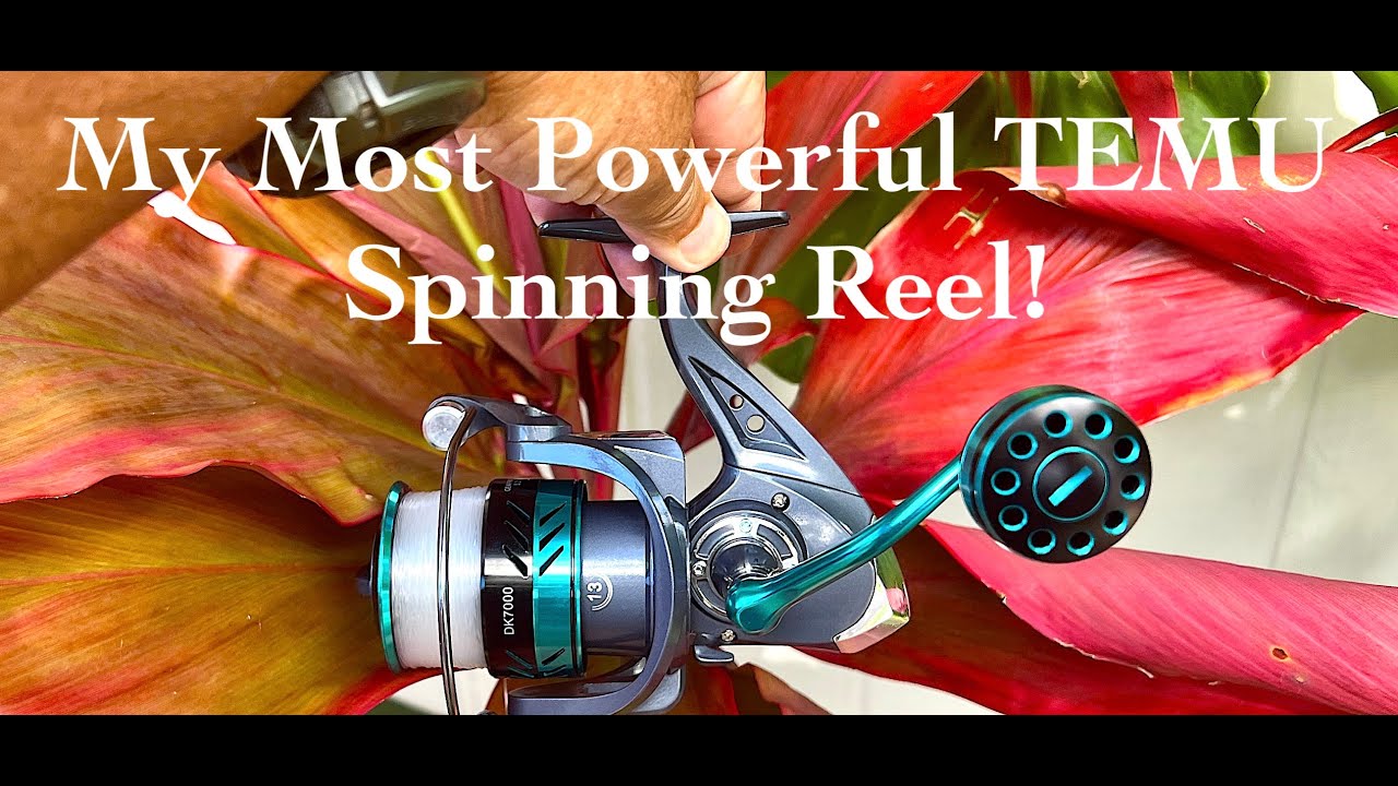 INEXPENSIVE Temu DK Spinning Reel Survived Years of Saltwater Use!