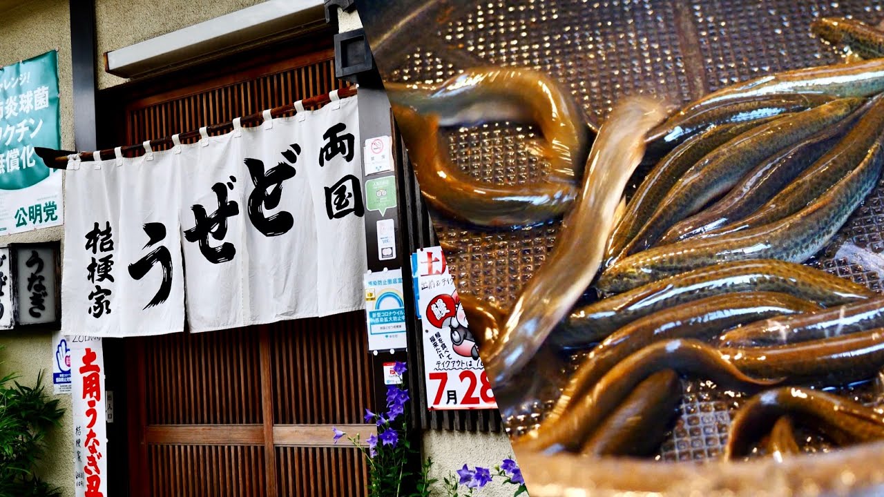 【天然どじょうの桔梗屋】両国の老舗桔梗屋の柳川鍋 Japanese Loach pot