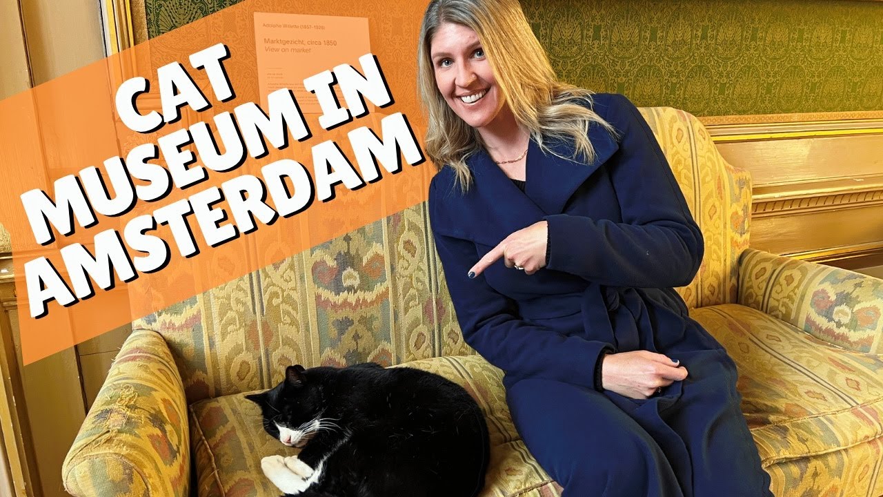 Meanest cat in Amsterdam? On our travel vlog? | Amsterdam Travel Vlog