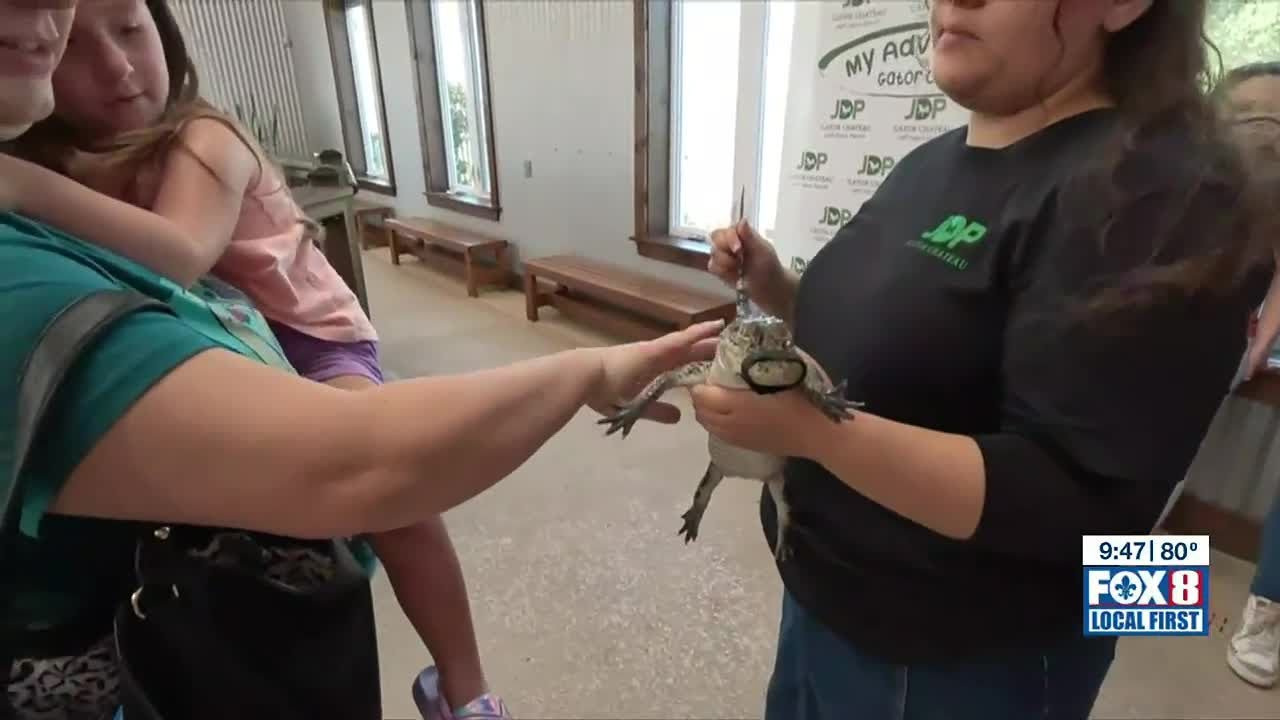 Сердце Луизианы: музыка каджунов и аллигаторы