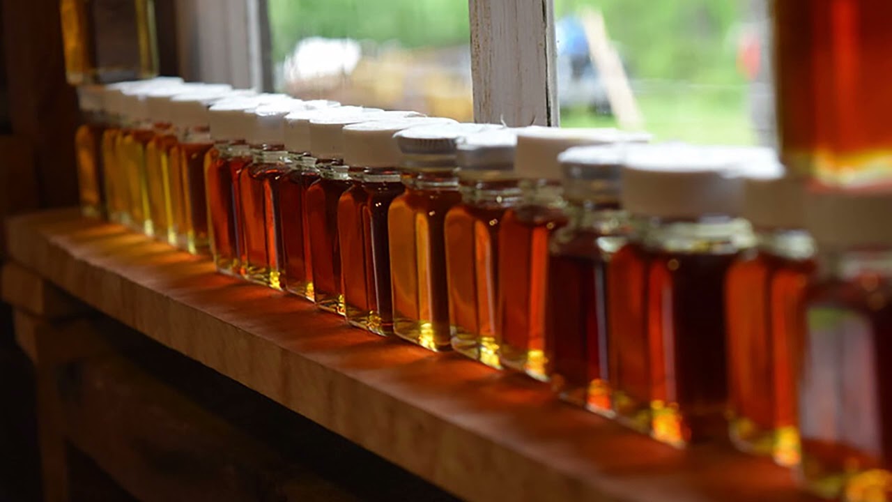 Maple Minute: Why Does Sap Flow?