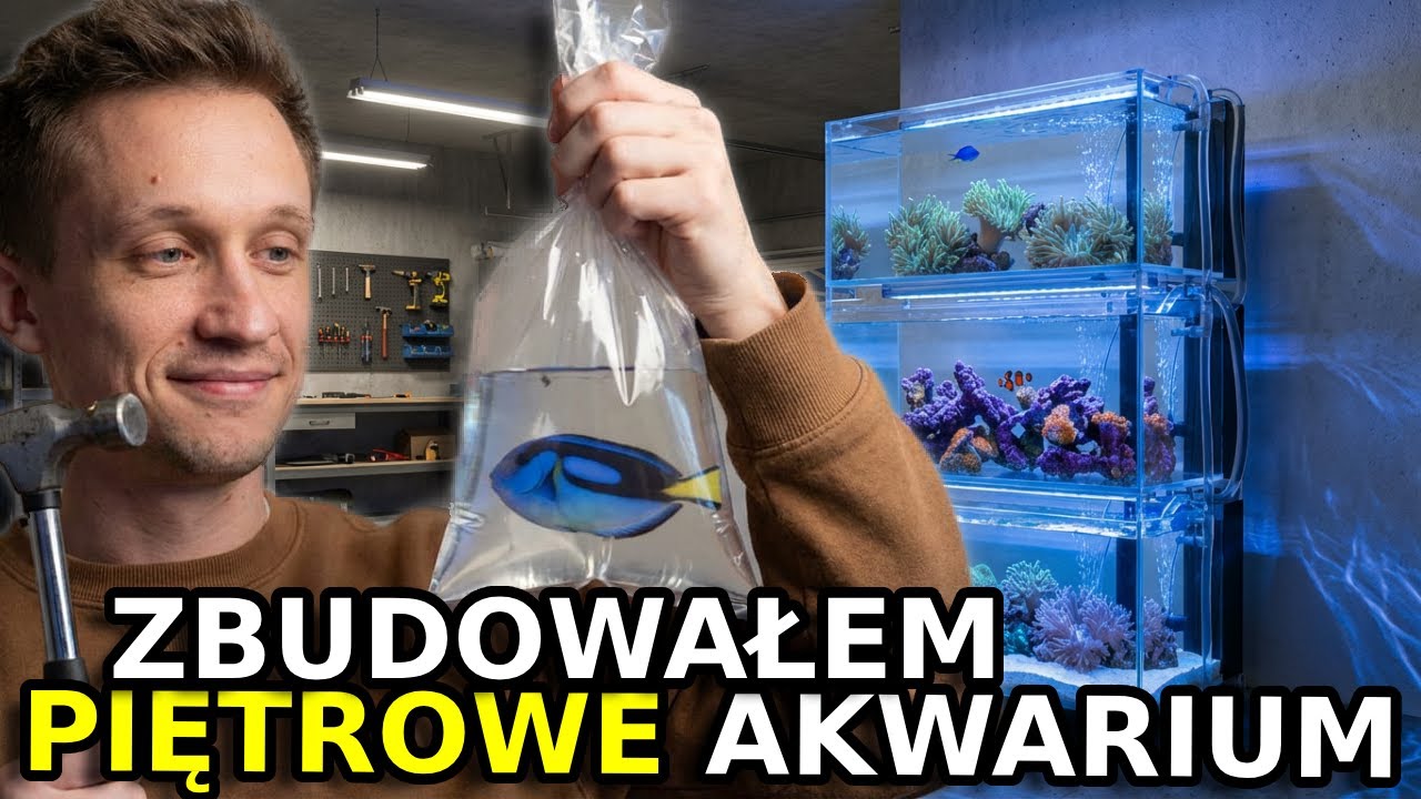 Zbudowałem piętrowe akwarium morskie w garażu ! Przeprowadzka rafy @reefguard_akwarystyka_morska 