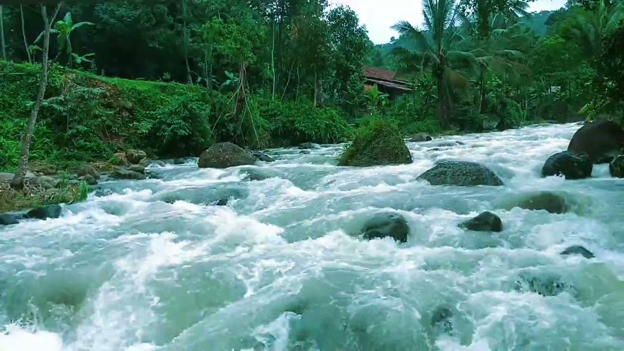 Gentle Forest River Sounds for Calm Mind and Restful Sleep