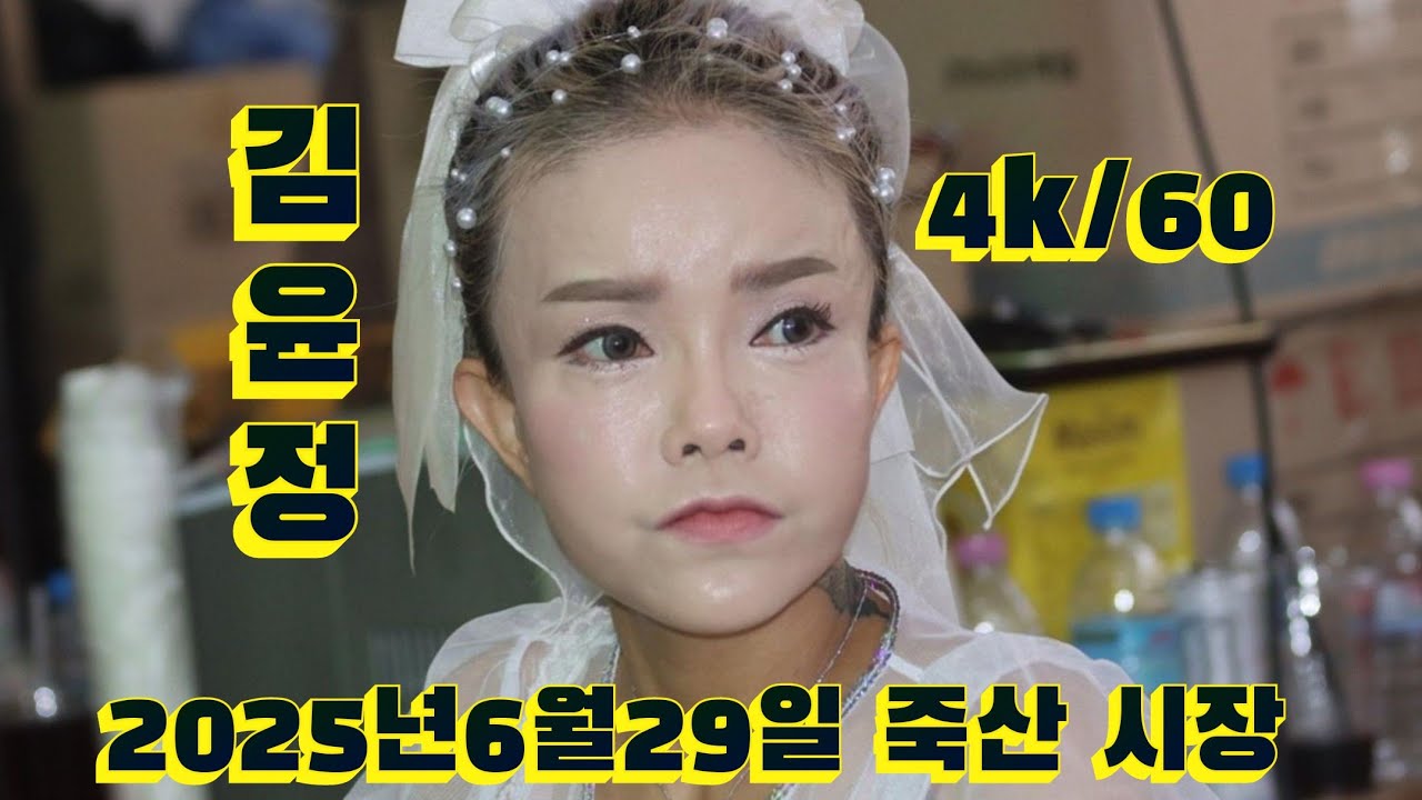 2025년 6월29일 경기 안성시 죽산 시장 축제  작은거인 윤정품바 공연 영상 입니다