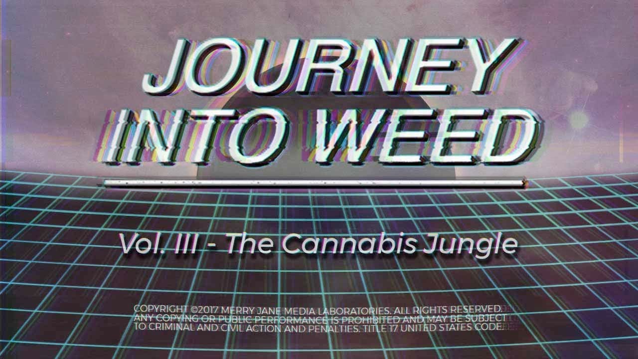 Vol. III - The Cannabis Jungle | JOURNEY INTO WEED