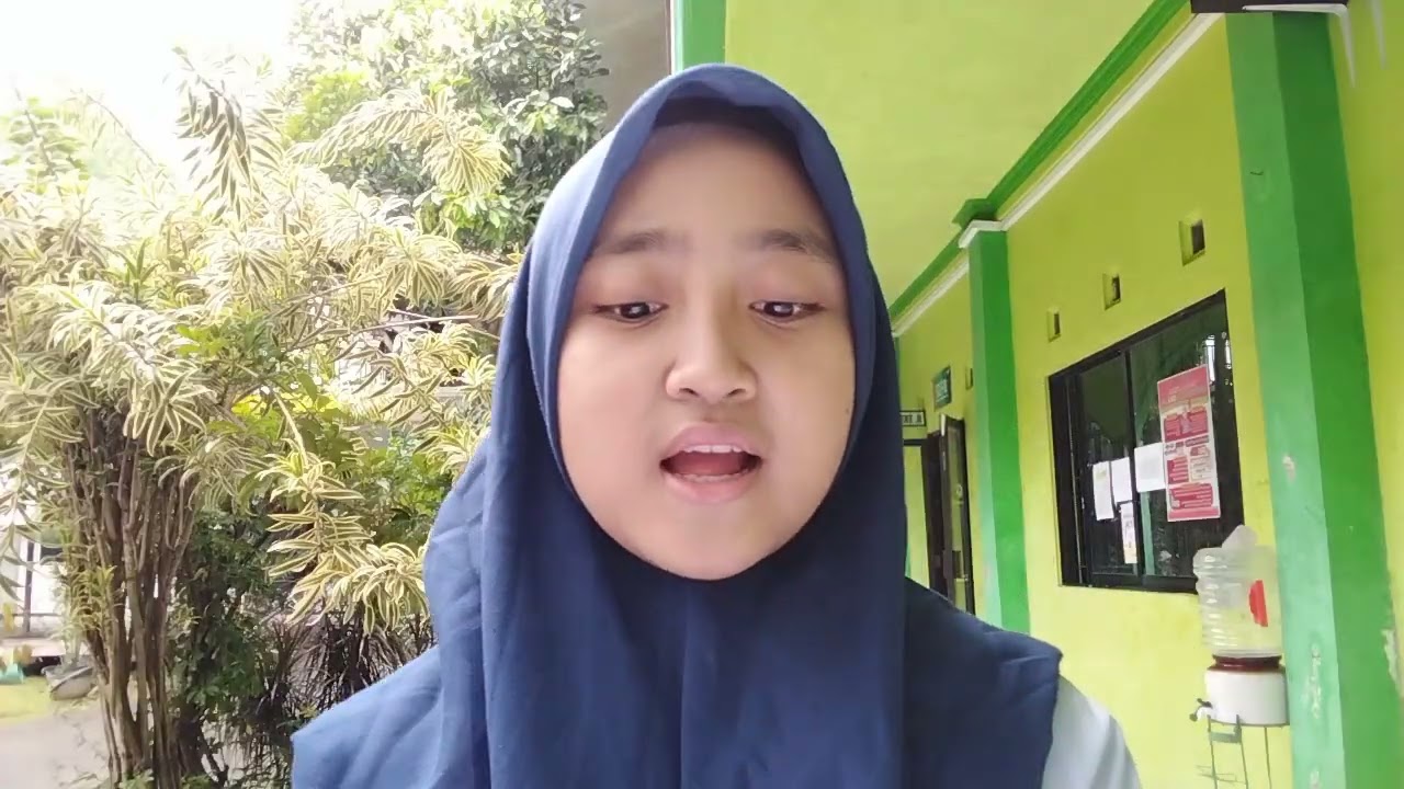 Presentation imagination Hanifida about expression like and dislike
