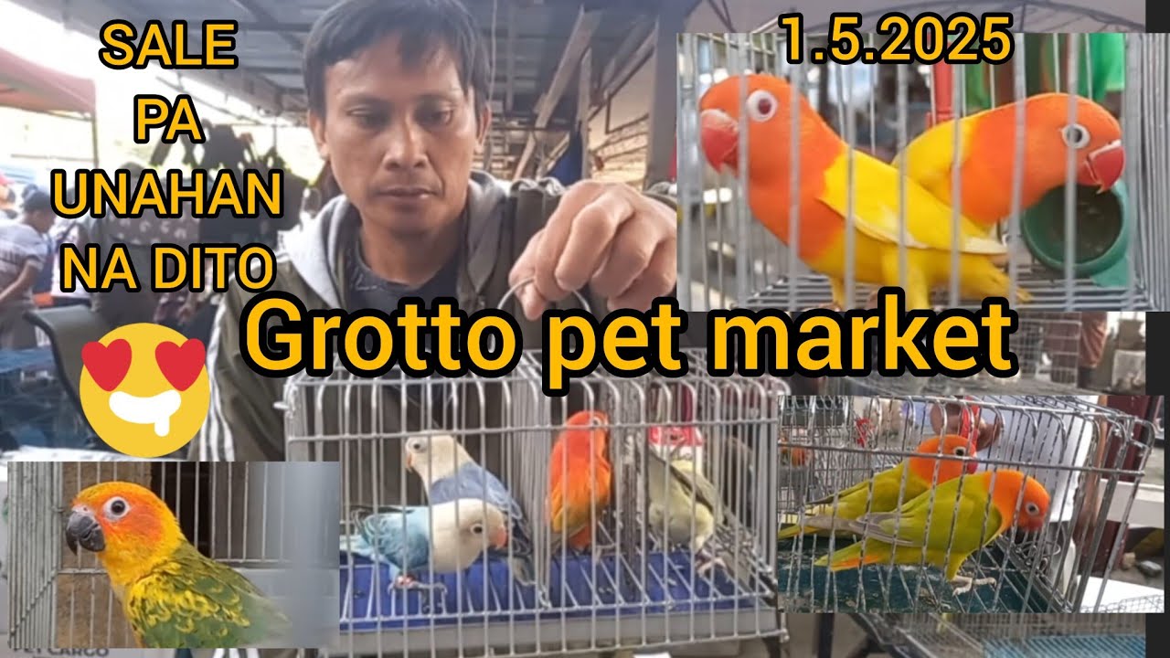 ep#18. 1.5.2025 Grotto pet market pili na kpatid habang Sale pa unahan na dame pagpipilian dito👌👌