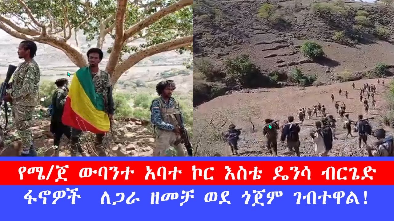 የሜ/ጀ ውባንተ አባተ ኮር እስቴ ዴንሳ ብርጌድ ፋኖዎች  ለጋራ ዘመቻ ወደ ጎጀም ገብተዋል!