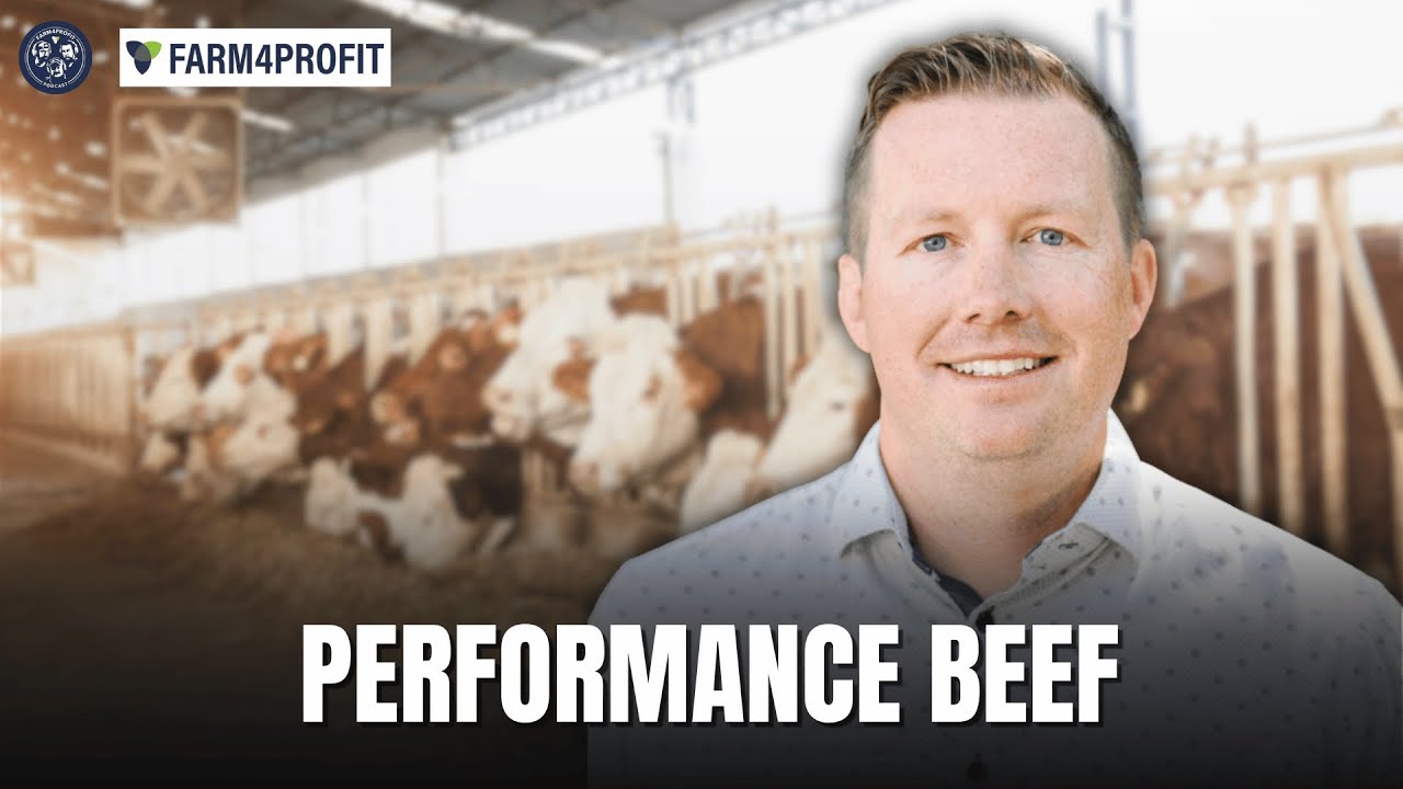 From Startup to Stockyards: Dane Kuper of @PerformanceLivestockAnalytics  | Farm4Profit Podcast
