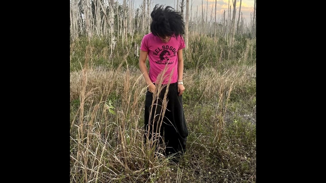 (free) jaydes entry log x romanticism type beat - 