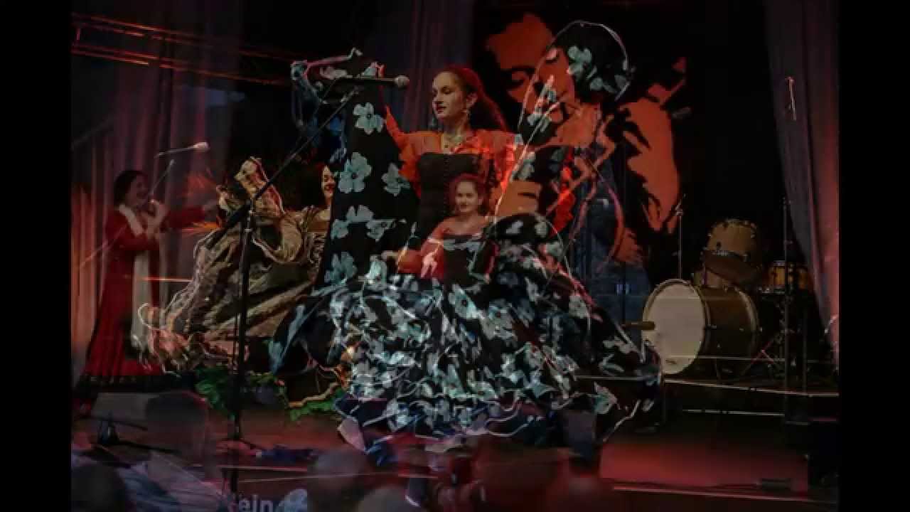 Fotoshow Django Reinhardt Festivals in Hildesheim