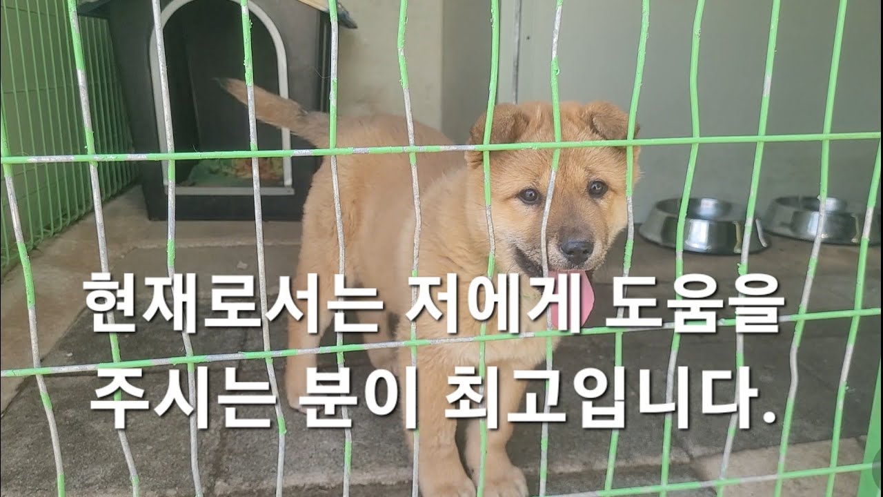 꾸꾸맘님 진심으로 너무 감사드립니다.