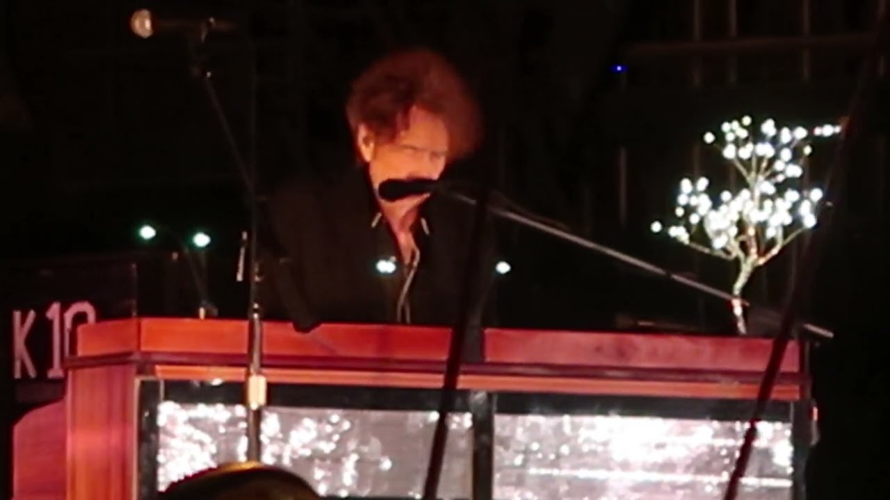 Bob Dylan live 