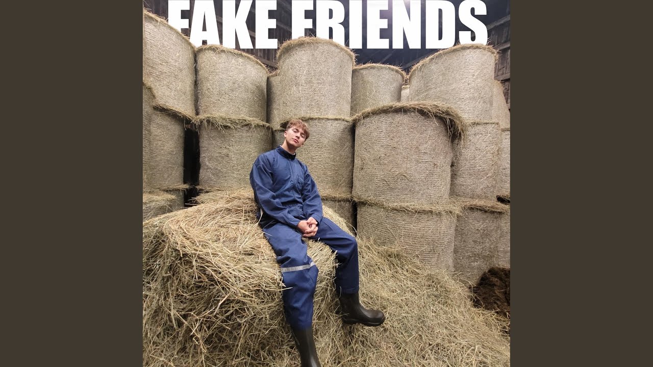 FAKE FRIENDS