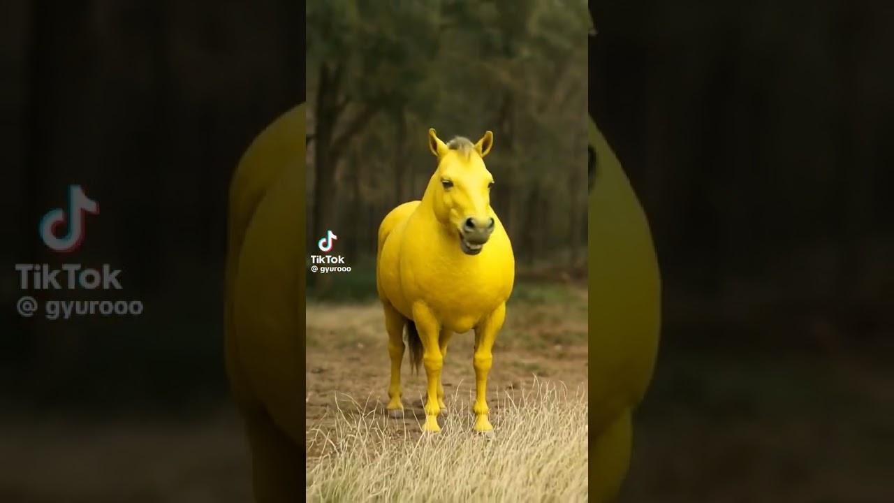 NE KATTINTS A HANGRA‼️ #brainrot #shorts #funny #memes #hungary #horse #sigma