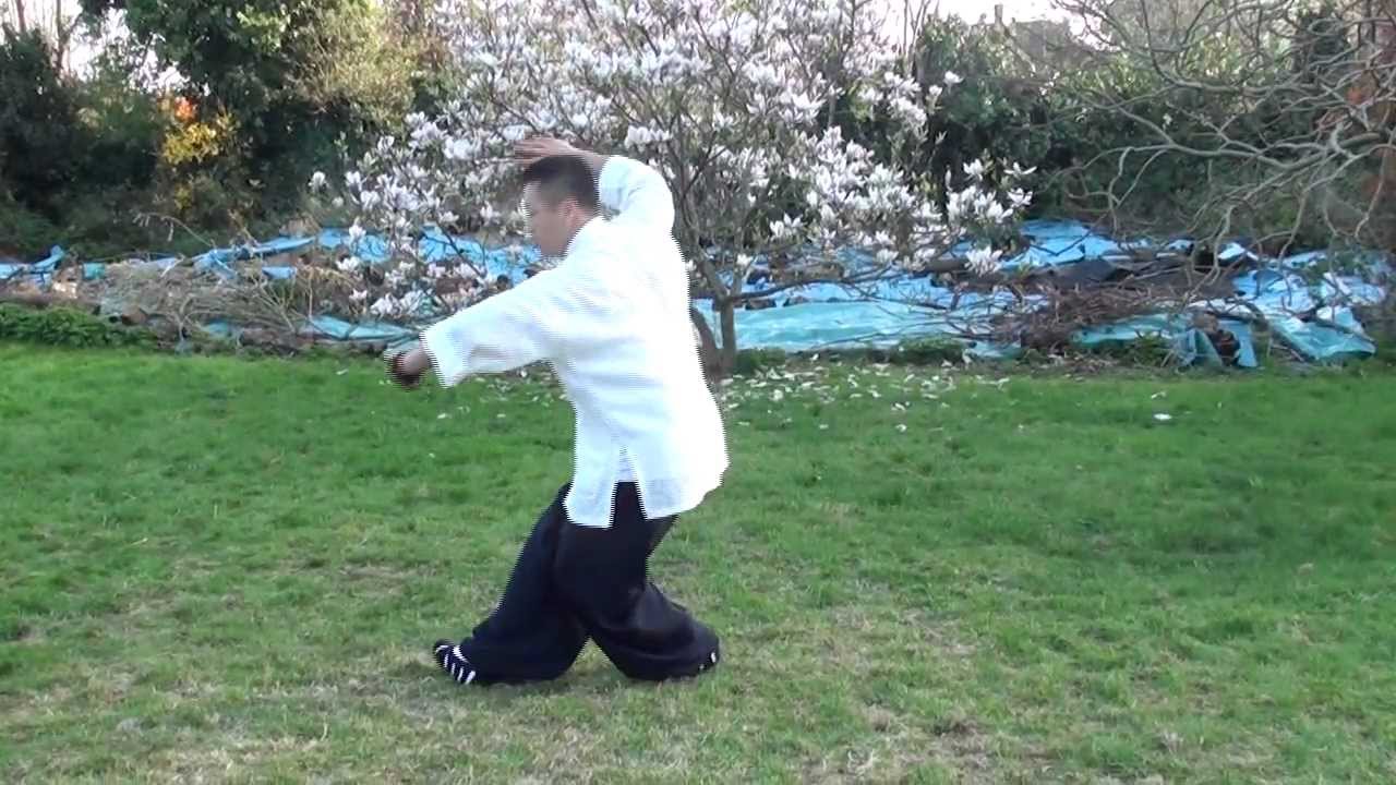 Tai Chi basics - Mingmen out