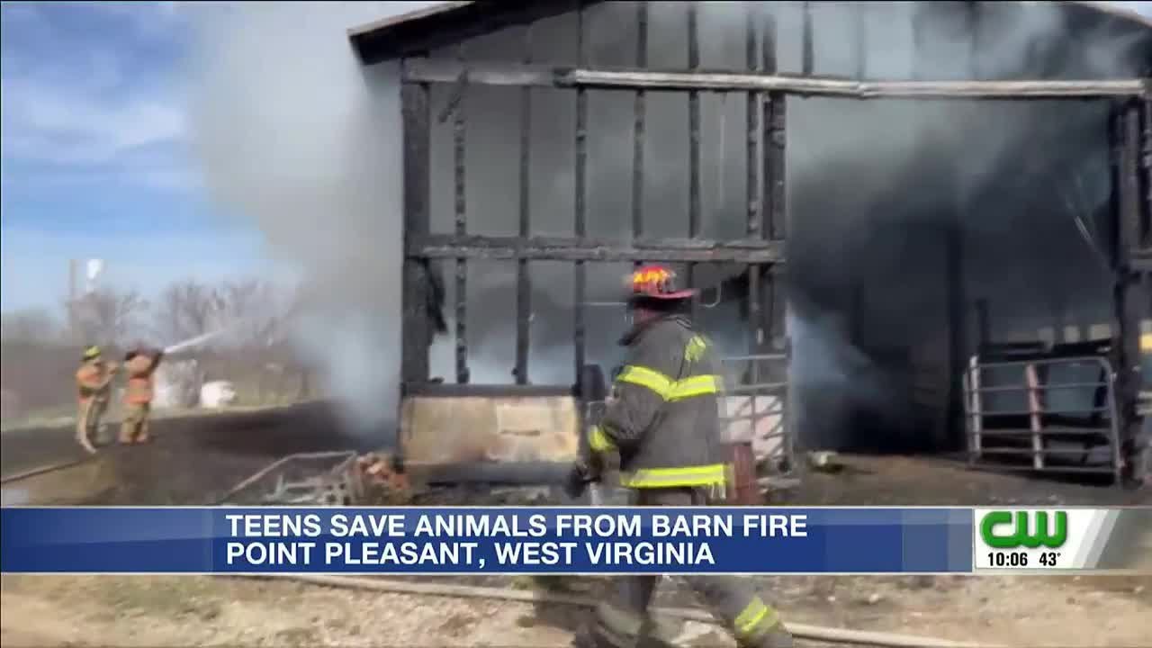 Teens save animals from barn fire