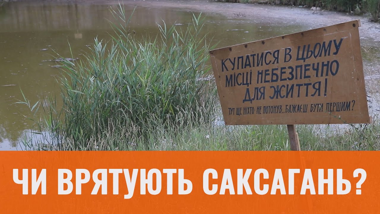 Чи врятують Саксагань?