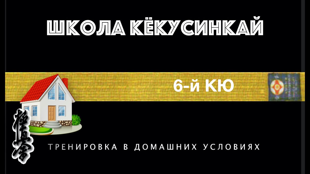 👊ШКОЛА КЁКУСИНКАЙ. 6-й КЮ (в домашних условиях)