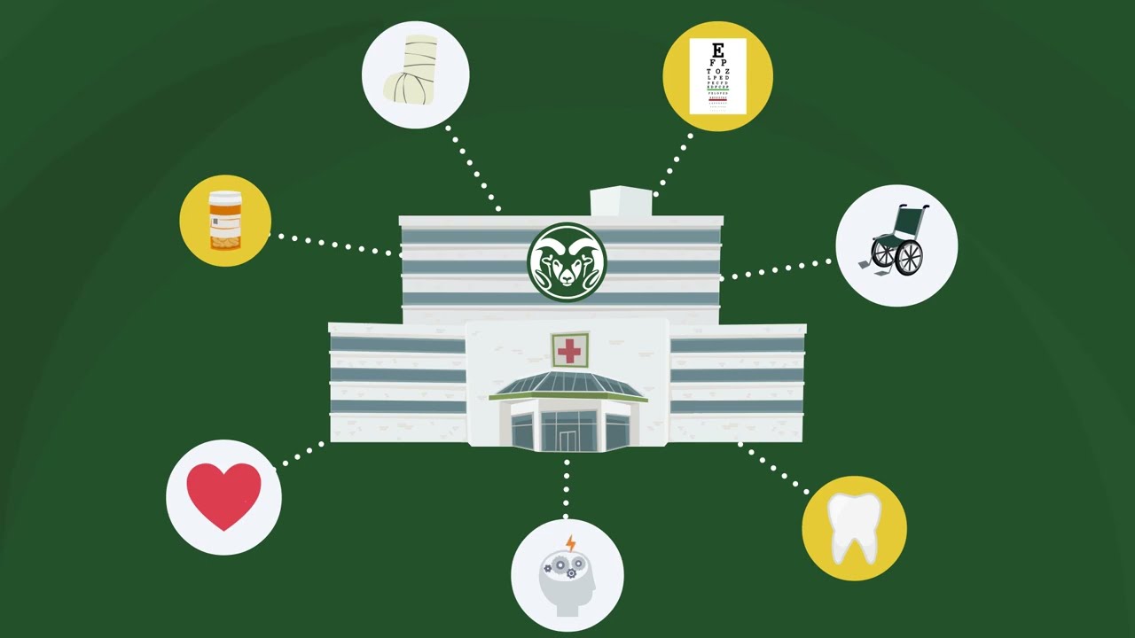 How Health Insurance Works in the United States