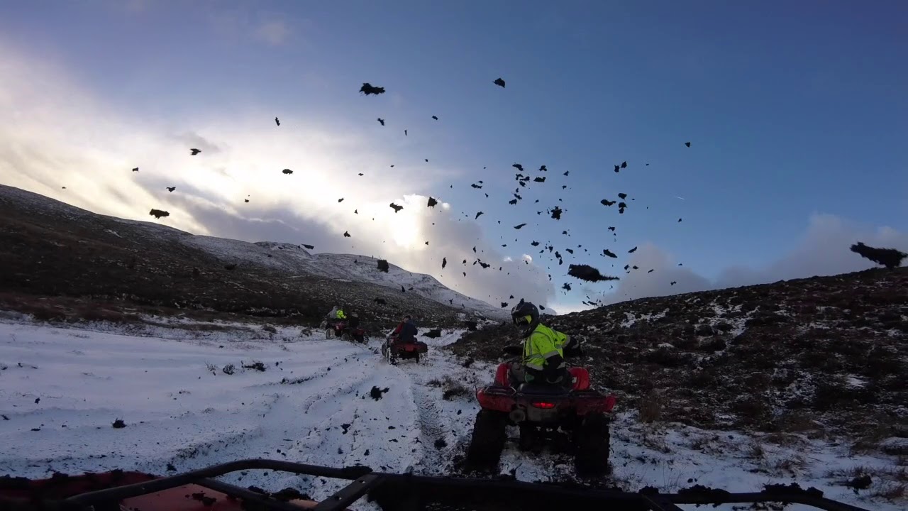 300 fourtrax rolls down Sliabh Sneacht 😝❄️