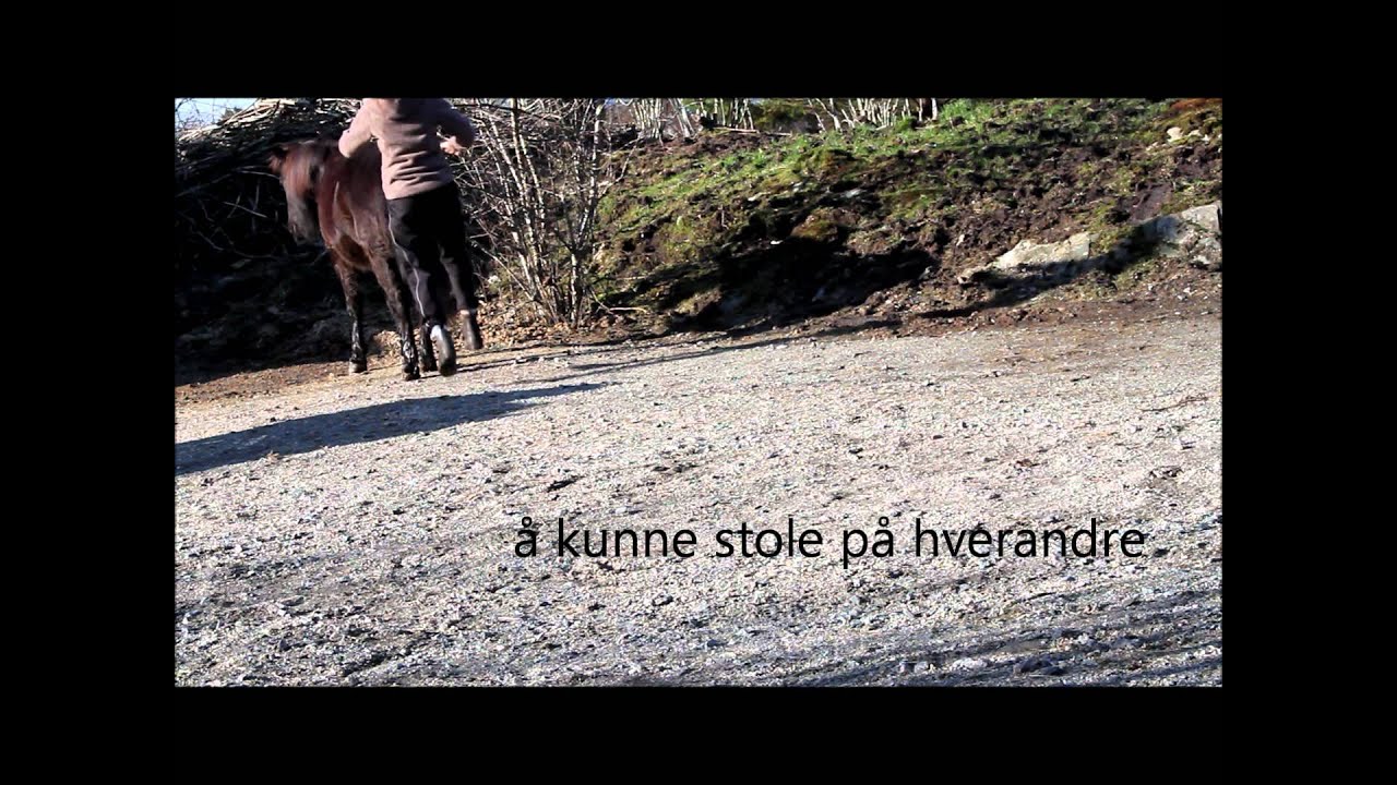 Intro film til Hest.no
