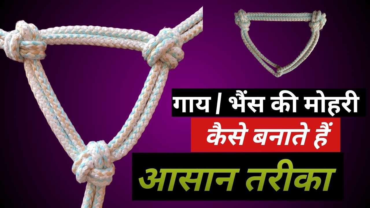 3 गांठ  वाली मोहरी कैसे बनाये, How to make a 3 way knot rope Halter. #cowhalter #halter #mohri