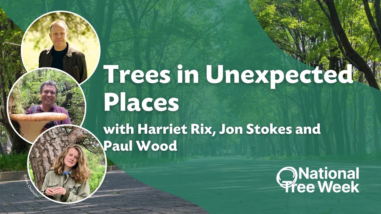 Trees in Unexpected Places