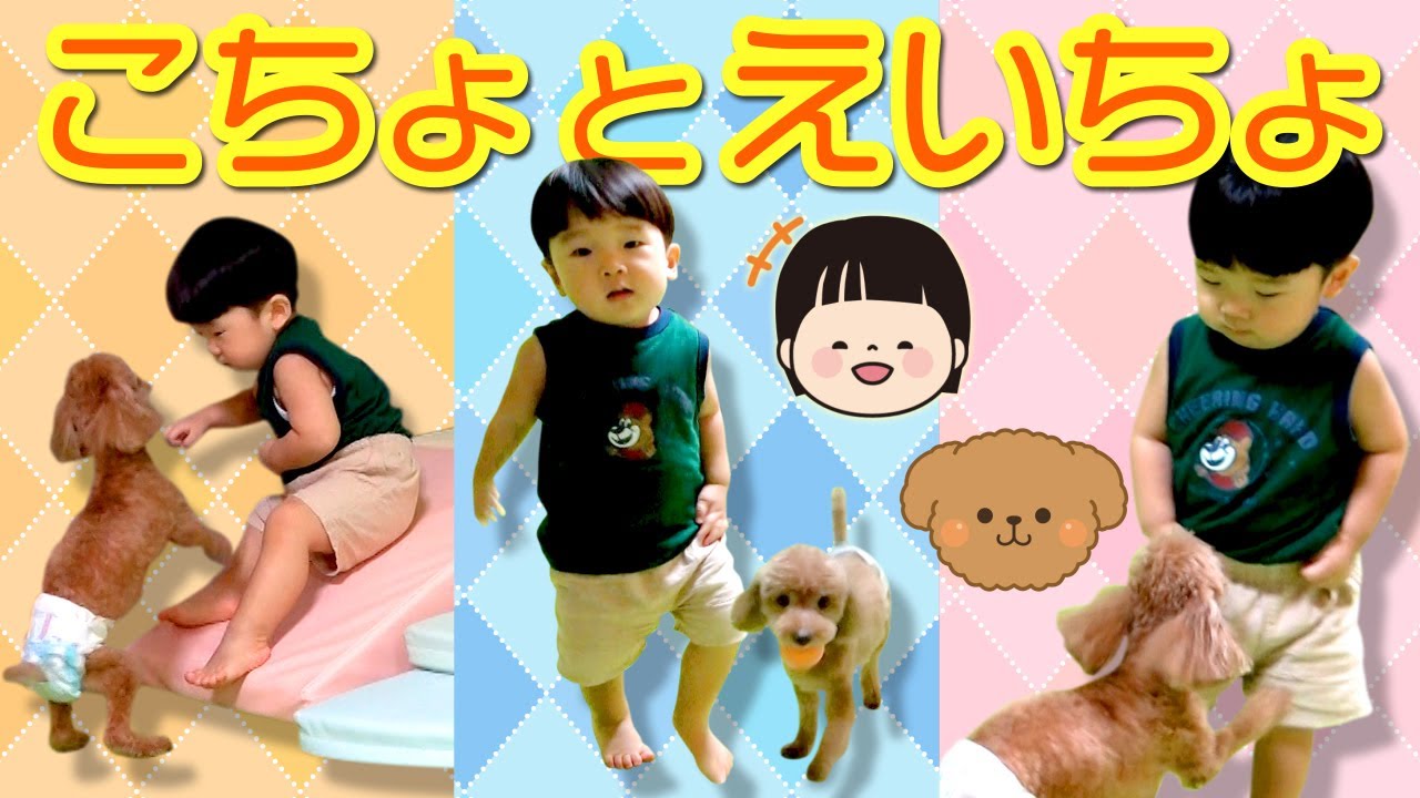 ◆お互いに気になる存在！こちょとえいちょボールで遊べるかな？◆