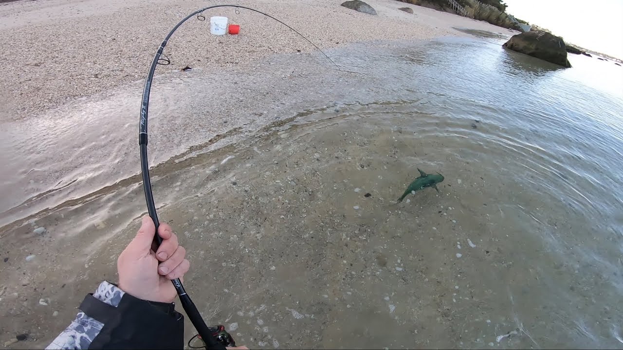 2019 Fishing Recap and 15 Pieces of Gear I Liked!