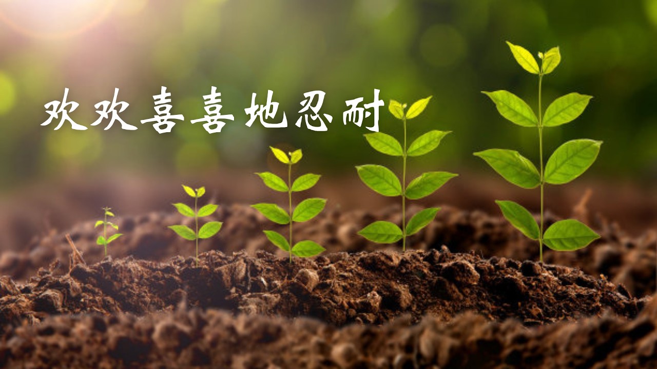 2022.5.22 慕斯分享《欢欢喜喜地忍耐》