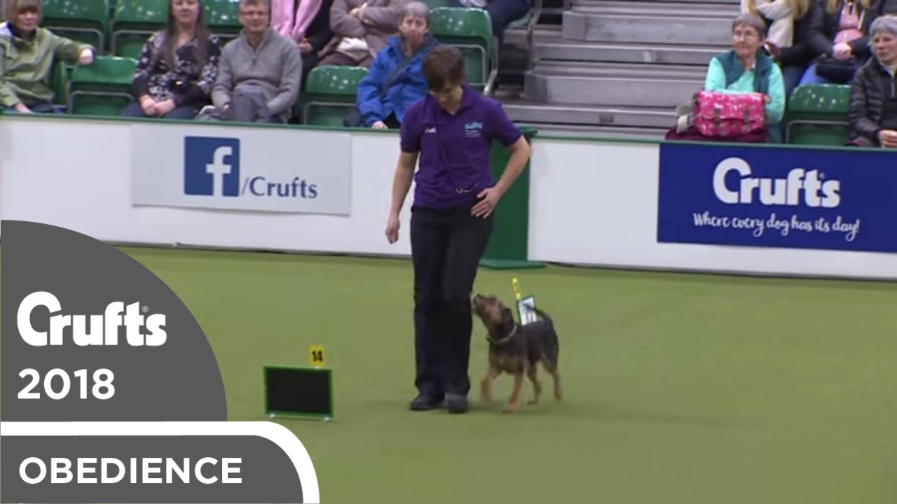 Inter-Regional Rally - Level 6 - Part 1 | Crufts 2018
