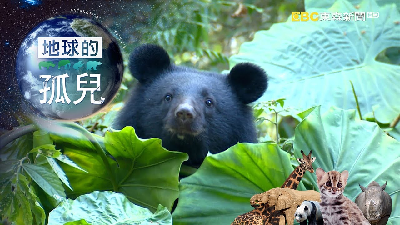 Orphans of the Earth ~Saving Formosan Black Bears