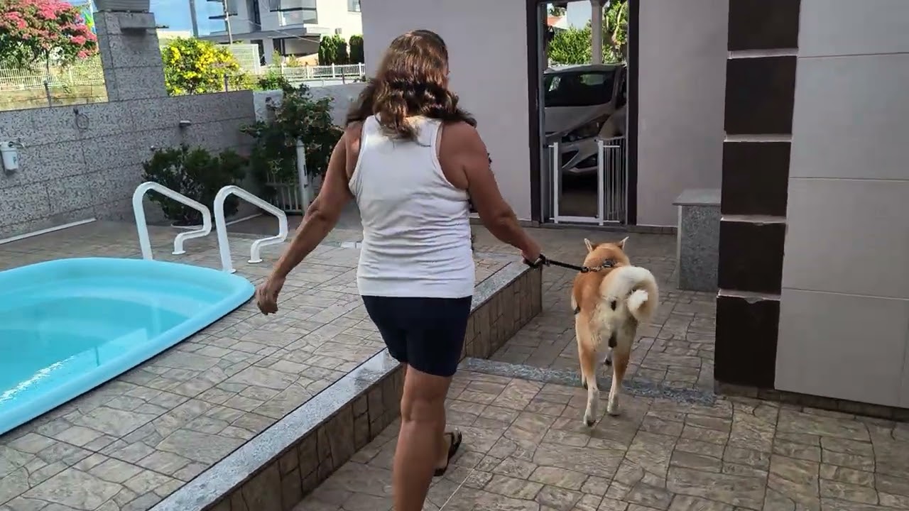 COMO É PASSEAR COM MEU CACHORRO AOS 70 ANOS 🐶 🐕