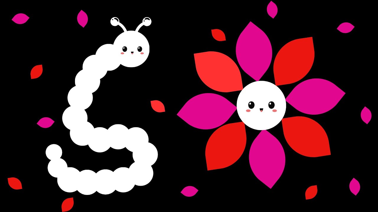 Baby Bear | Colorful Caterpillar | Calming Visuals  | Visual Tracking and Calming Music