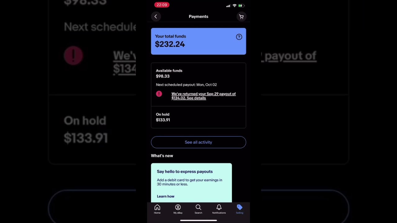 Edit eBay payout schedule
