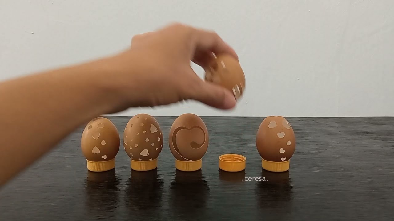 Kulit Cangkang Telur, Ada Lima Hati