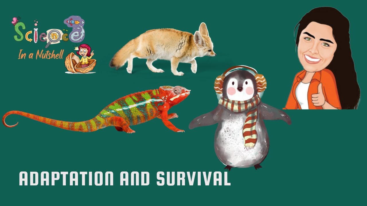 Animals Adaptation and Survival - Junior 4 -