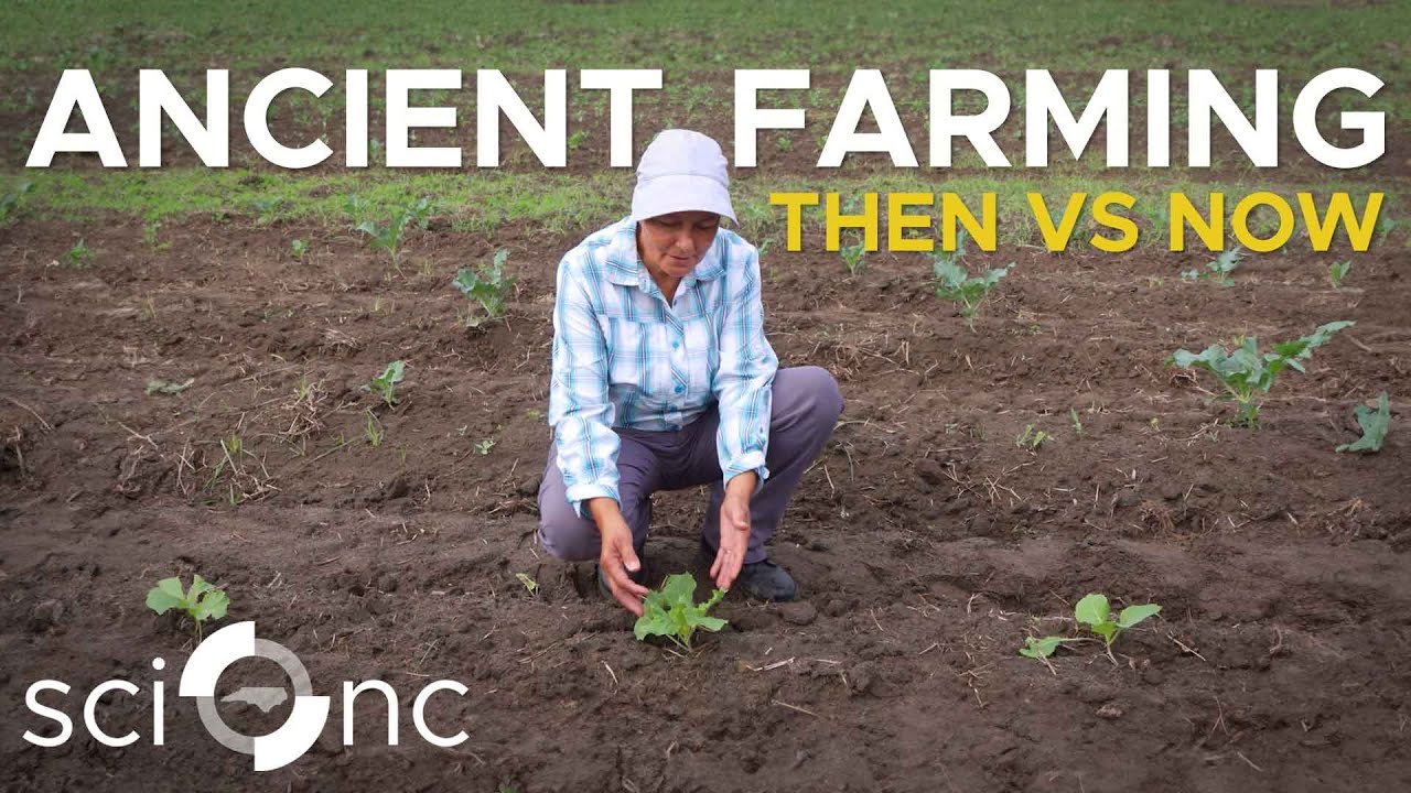 How Indigenous farming practices help the soil